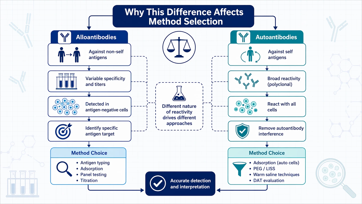 alloantibodies vs autoantibodies Why This Difference Affects Method Selection visual guide