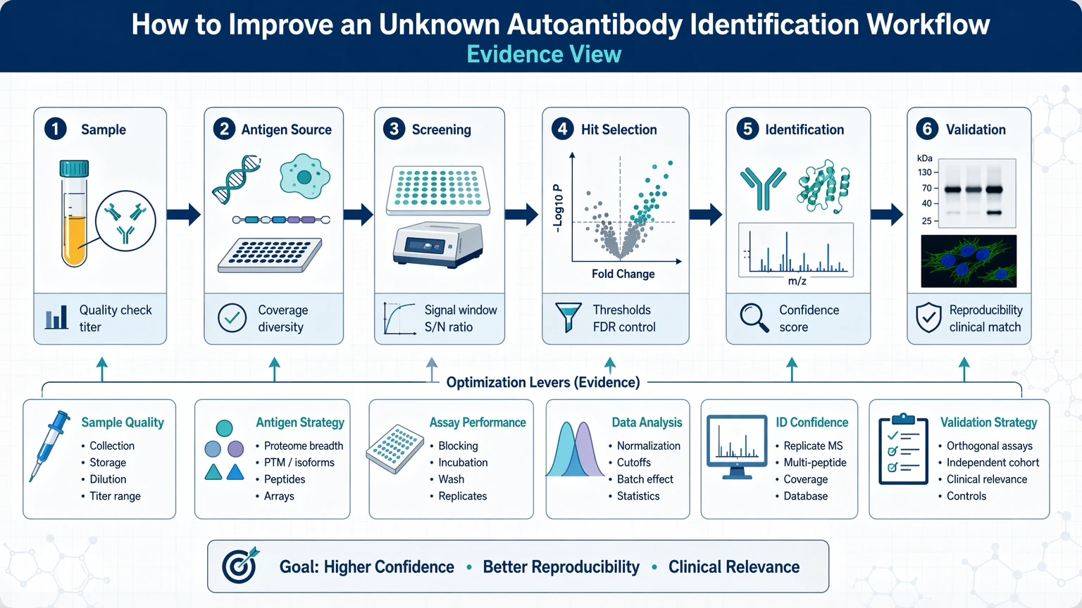 identify unknown autoantibodies optimization Quick Answer: How to Improve an Unknown Autoantibody Identification Workflow visual guide