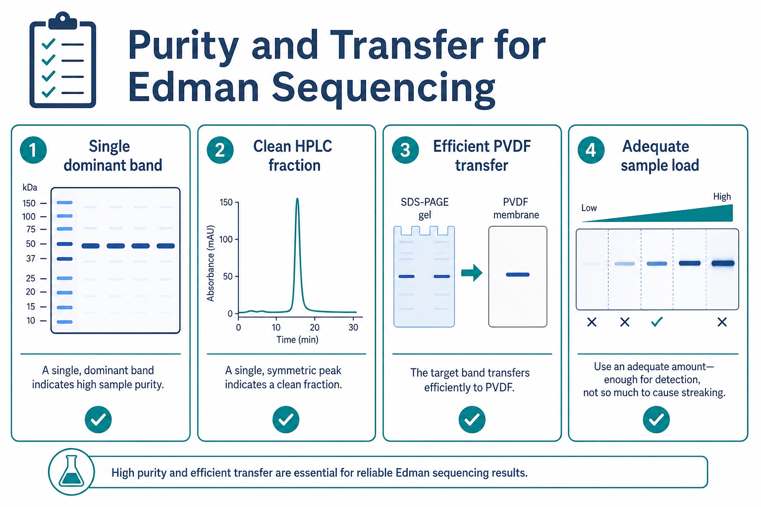 2074403327922229248-edman-purity-transfer-checklist.png