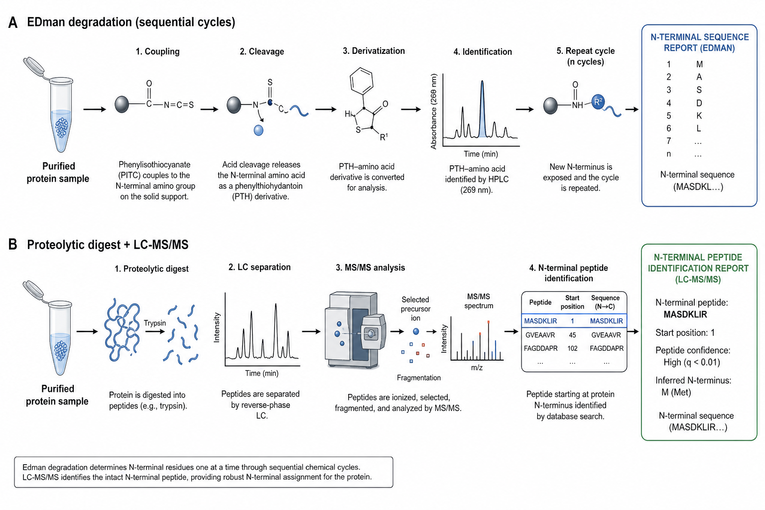 2075089222518263808-nterm-seq-fig1-workflow-routes.png