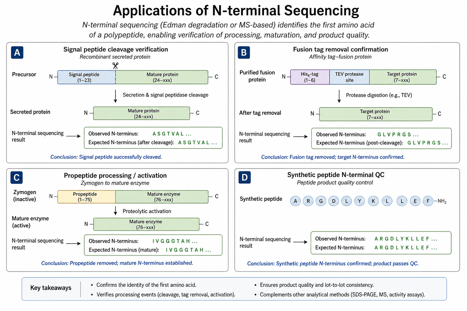 2075089575557025792-nterm-seq-fig2-processing-verification.png