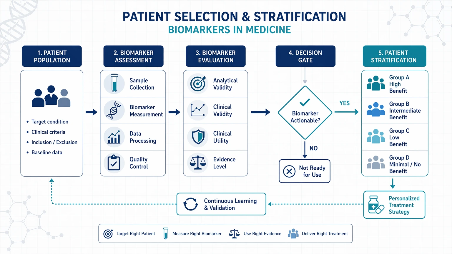 biomarkers in medicine Patient Selection and Stratification visual guide