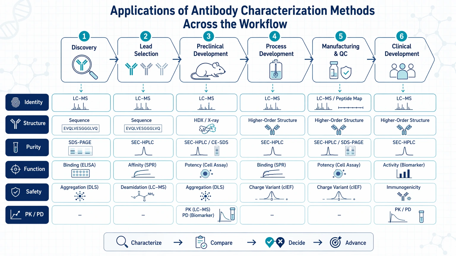 antibody characterization methods Applications of Antibody Characterization Methods Across the Workflow visual guide