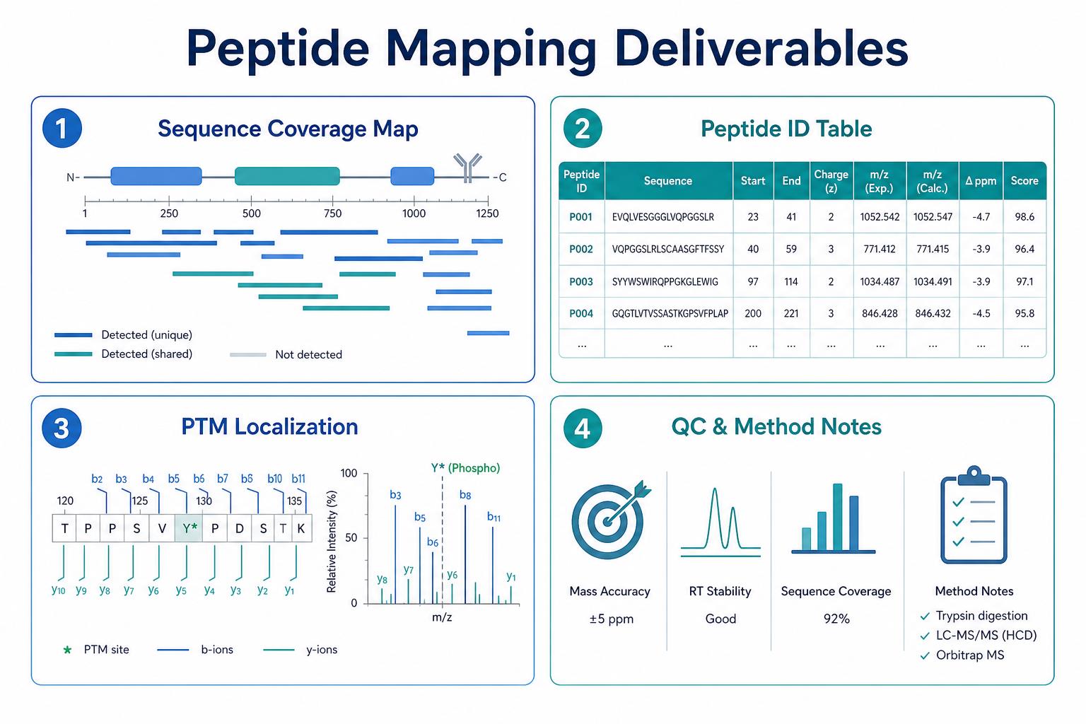 Peptide mapping deliverables including sequence coverage map, peptide identification table, PTM localization, and QC method notes for biologics characterization