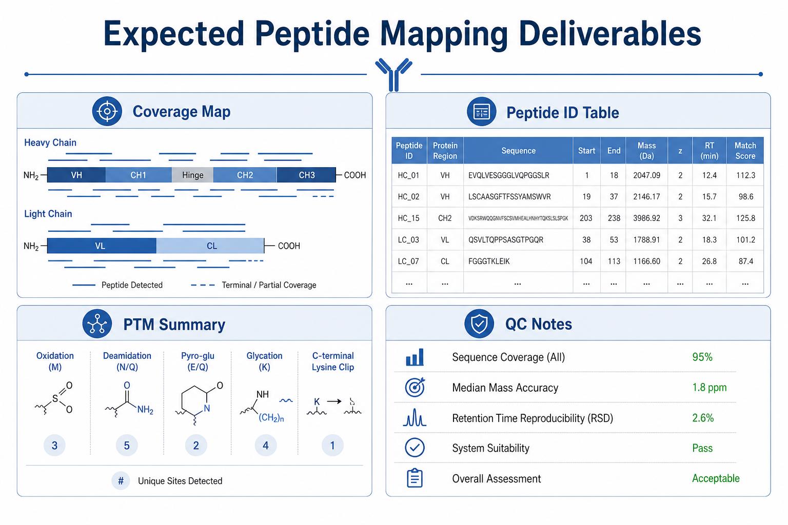 Expected peptide mapping service deliverables including coverage map, peptide identification table, PTM summary, and QC notes Expected peptide mapping service deliverables including coverage map, peptide identification table, PTM summary, and QC notes