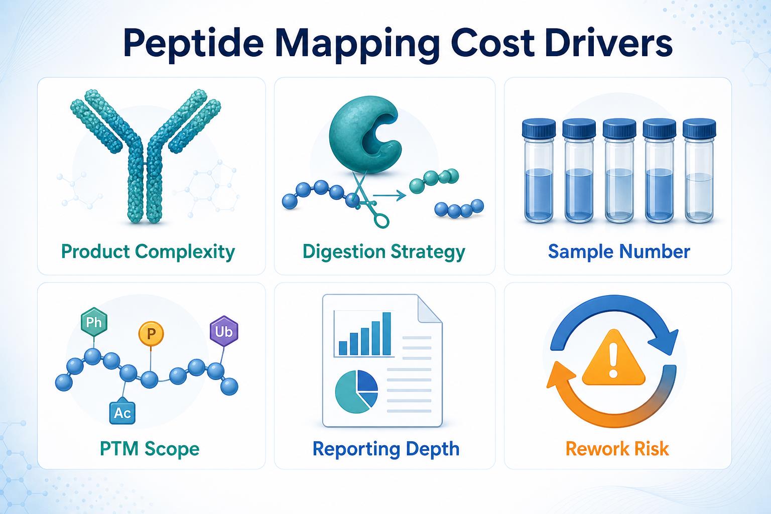Key factors that drive peptide mapping service cost including product complexity, digestion strategy, sample number, PTM scope, reporting depth, and rework risk Key factors that drive peptide mapping service cost including product complexity, digestion strategy, sample number, PTM scope, reporting depth, and rework risk