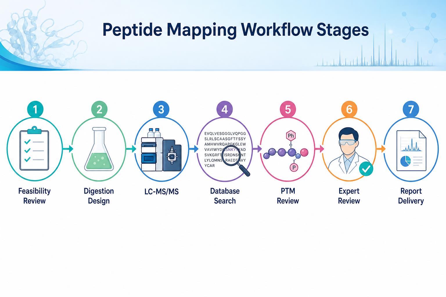 Peptide mapping service workflow cost components from feasibility review through digestion, LC-MS/MS, PTM review, and report delivery Peptide mapping service workflow cost components from feasibility review through digestion, LC-MS/MS, PTM review, and report delivery