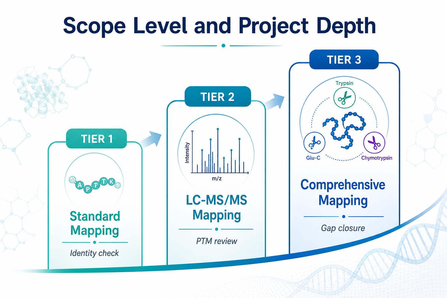 Peptide mapping service scope tiers from standard tryptic mapping through LC-MS/MS mapping to comprehensive multi-enzyme mapping Peptide mapping service scope tiers from standard tryptic mapping through LC-MS/MS mapping to comprehensive multi-enzyme mapping