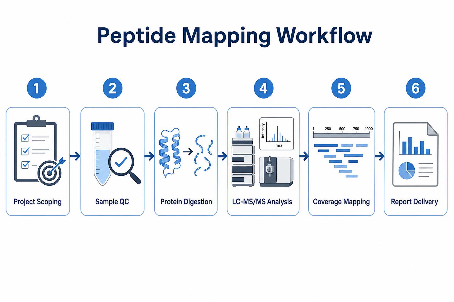 Peptide mapping workflow for biologics characterization from project scoping through digestion, LC-MS/MS, and coverage reporting
