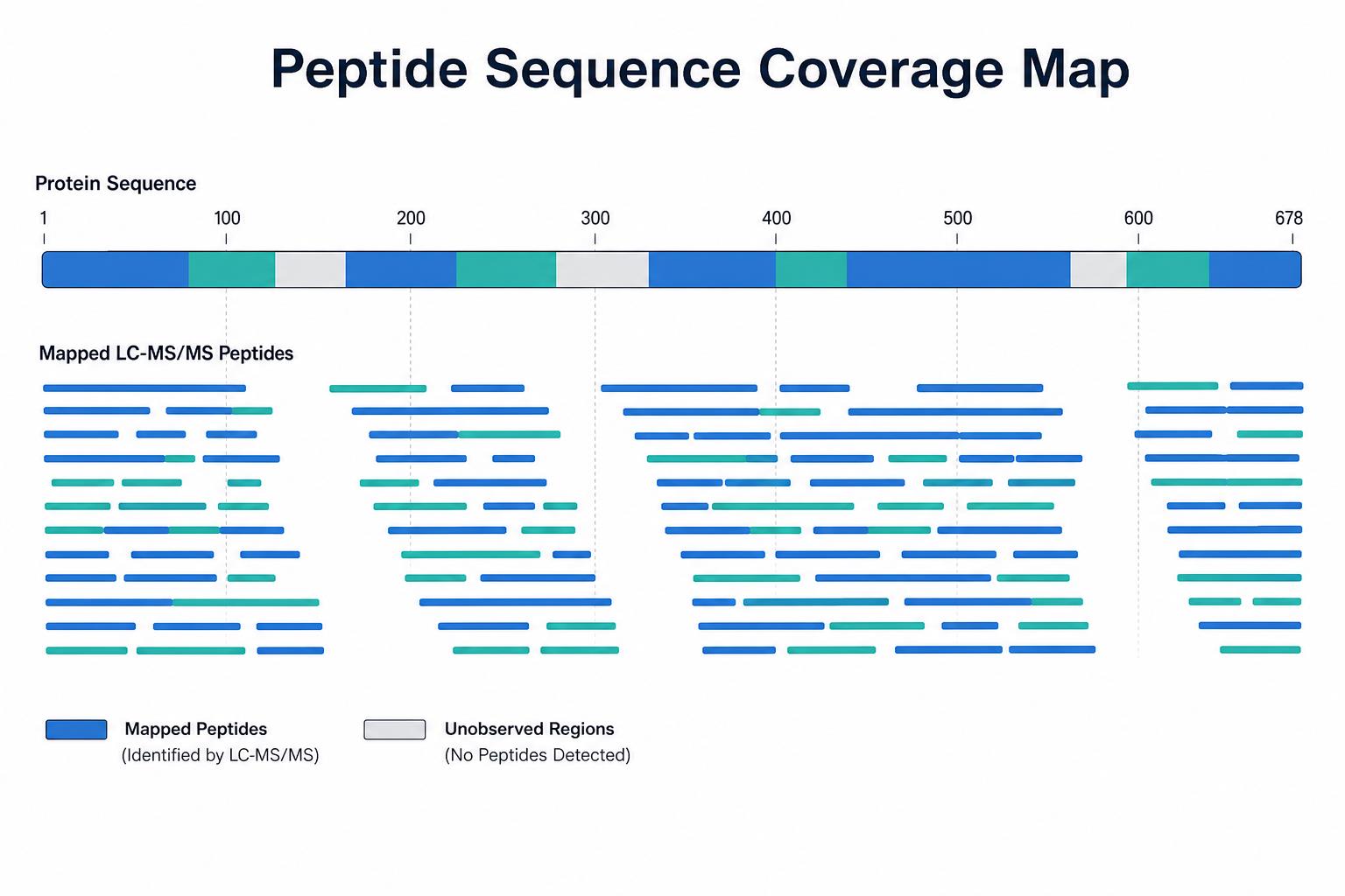 Peptide mapping sequence coverage map showing mapped LC-MS peptides across a biologic protein sequence for biologics characterization