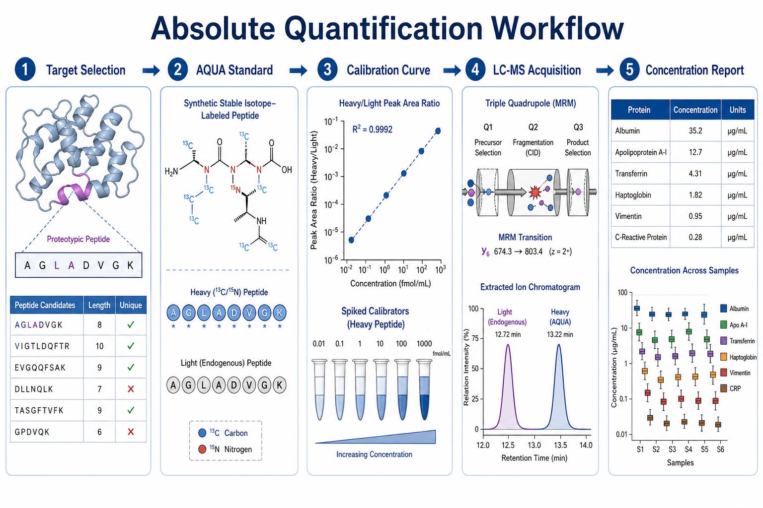 Absolute protein quantification workflow from AQUA standard preparation through calibration LC-MS acquisition and concentration reporting Absolute protein quantification workflow from AQUA standard preparation through calibration LC-MS acquisition and concentration reporting