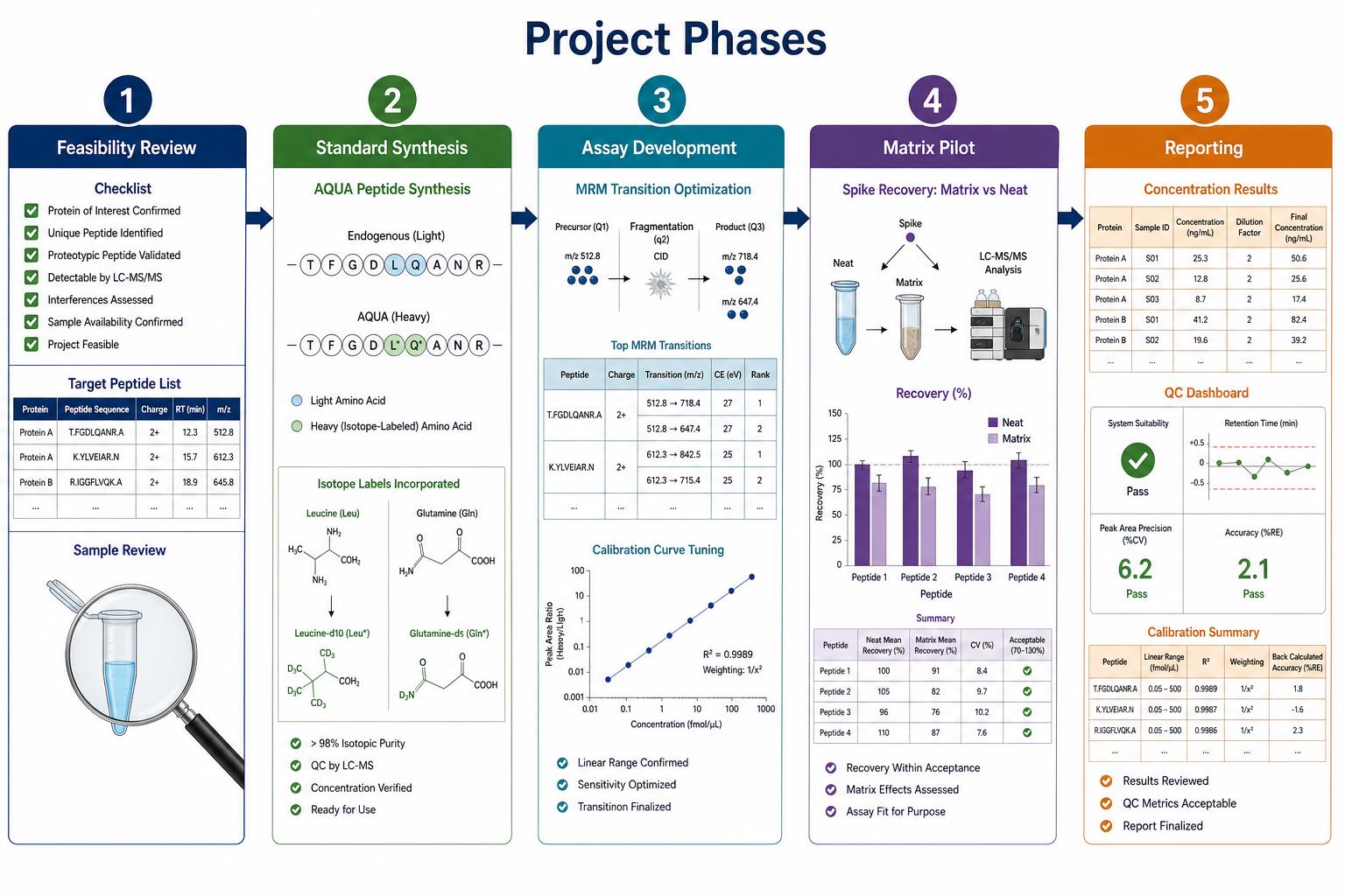 Absolute protein quantification project phases from feasibility review through standard synthesis matrix pilot cohort acquisition and reporting