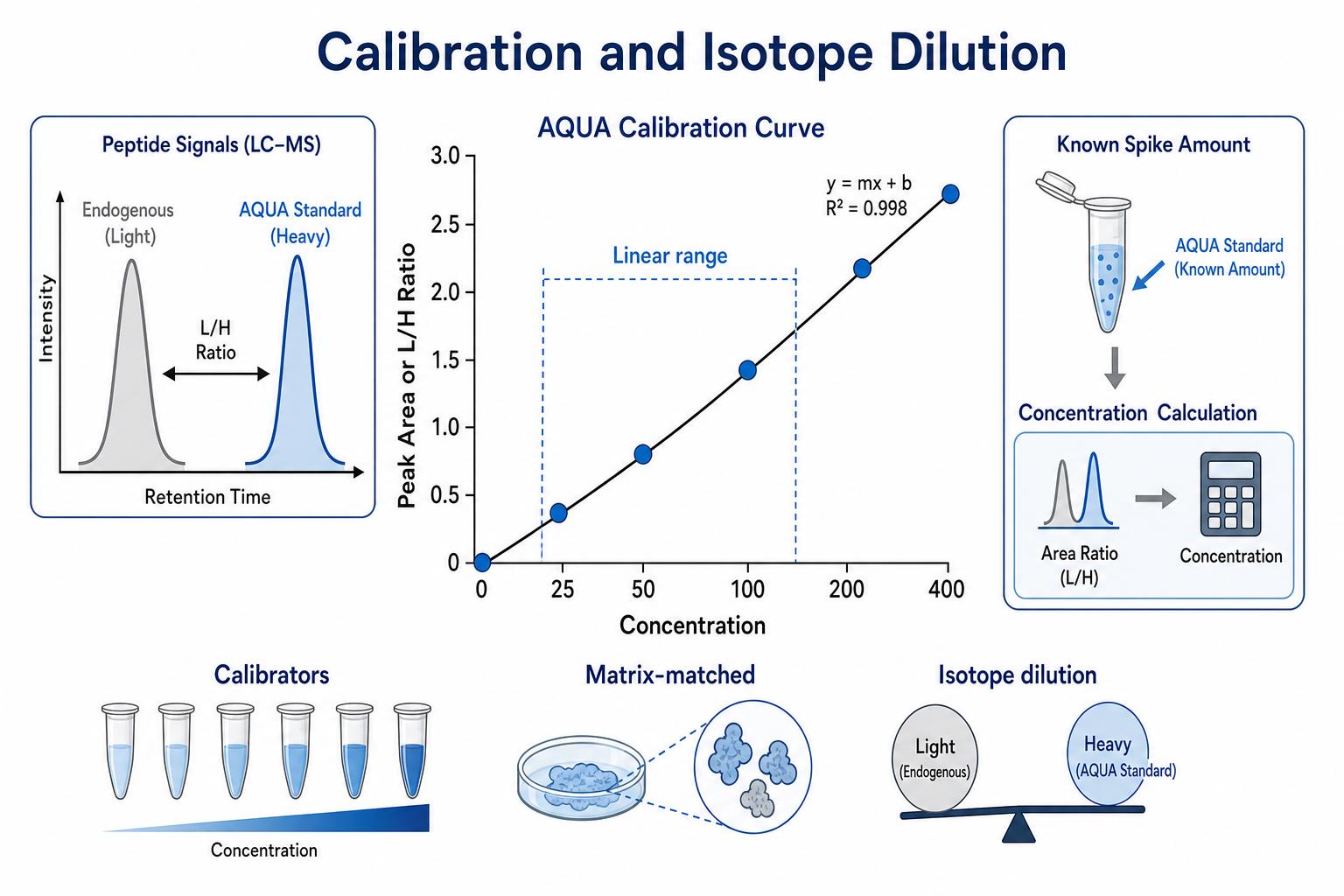 Calibration curve and isotope dilution principle for AQUA absolute protein quantification Calibration curve and isotope dilution principle for AQUA absolute protein quantification