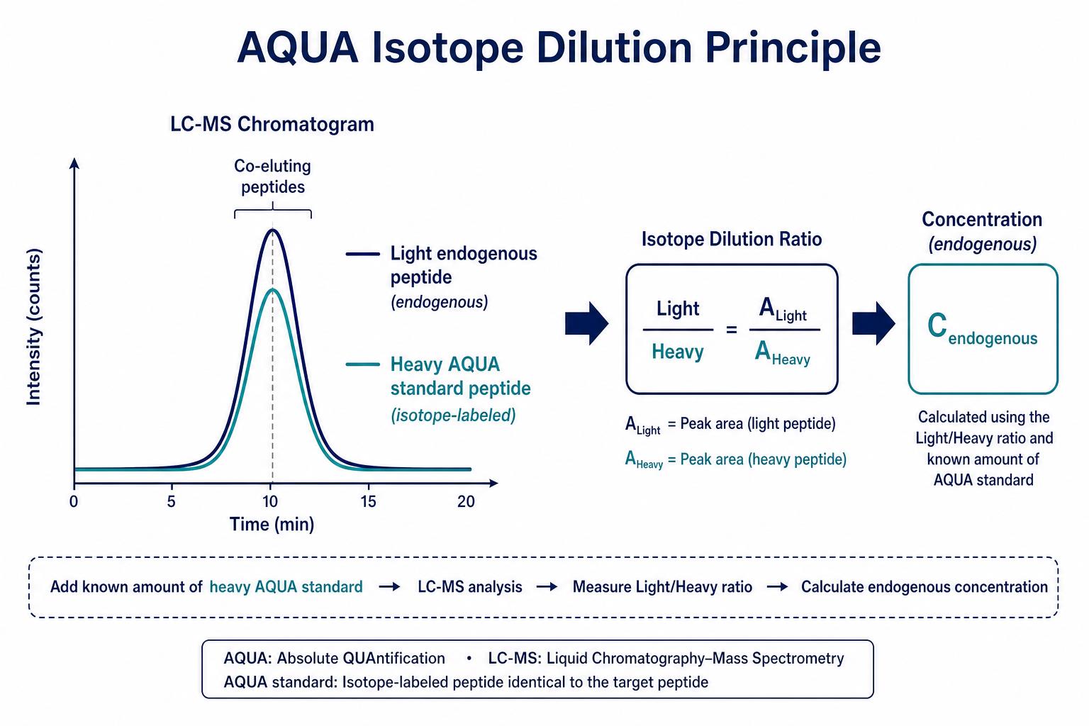 Isotope dilution principle using labeled peptide standards