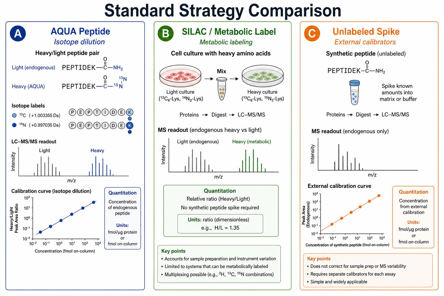 Comparison of AQUA peptide SILAC metabolic labeling and unlabeled external calibration for targeted quantitation Comparison of AQUA peptide SILAC metabolic labeling and unlabeled external calibration for targeted quantitation
