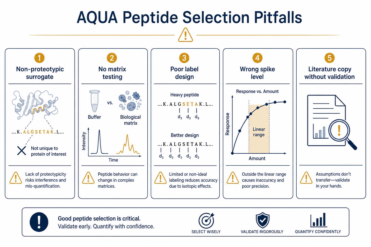 Common pitfalls when selecting labeled standards for quantitative proteomics Common pitfalls when selecting labeled standards for quantitative proteomics