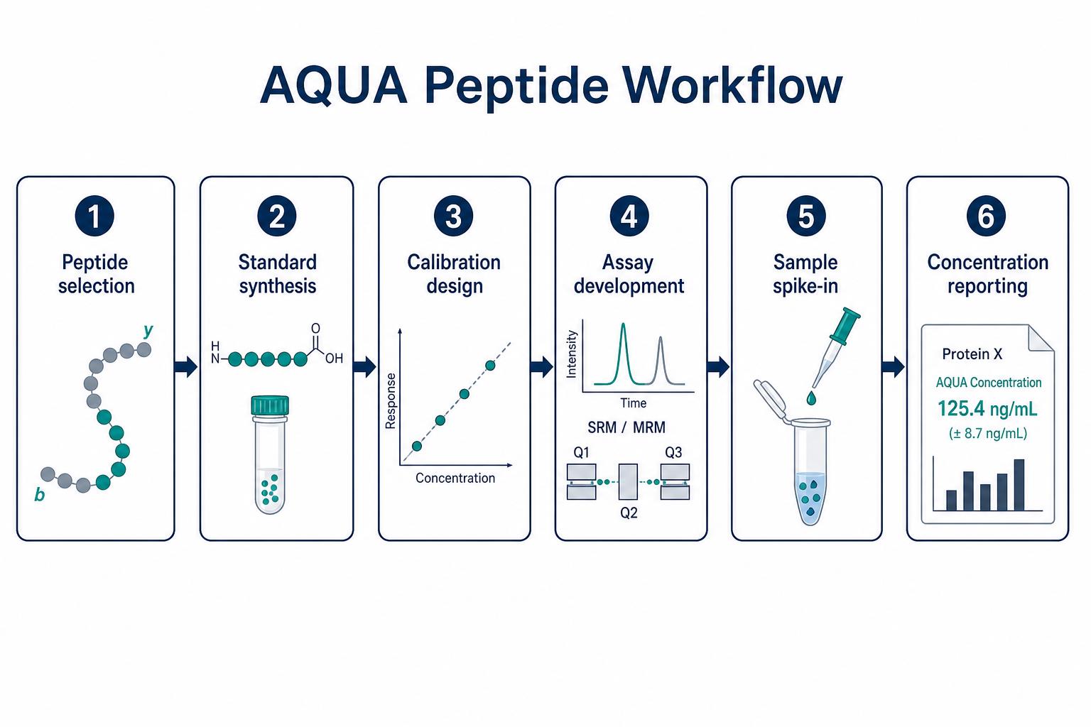 Labeled peptide workflow from standard design through calibration to reporting