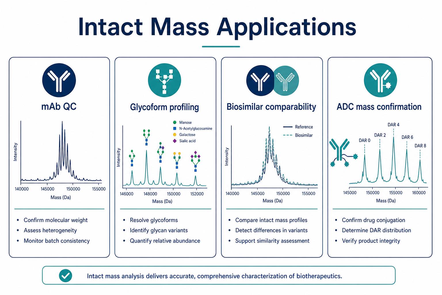 Applications of intact MS in therapeutic characterization