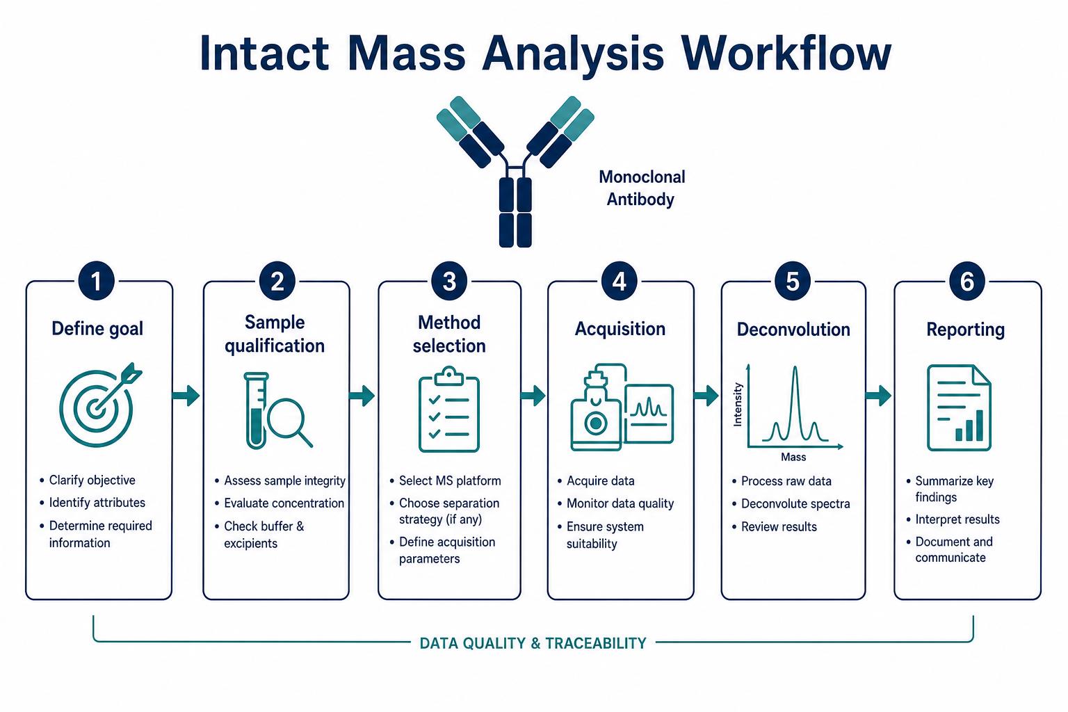 Intact mass workflow for therapeutic protein review