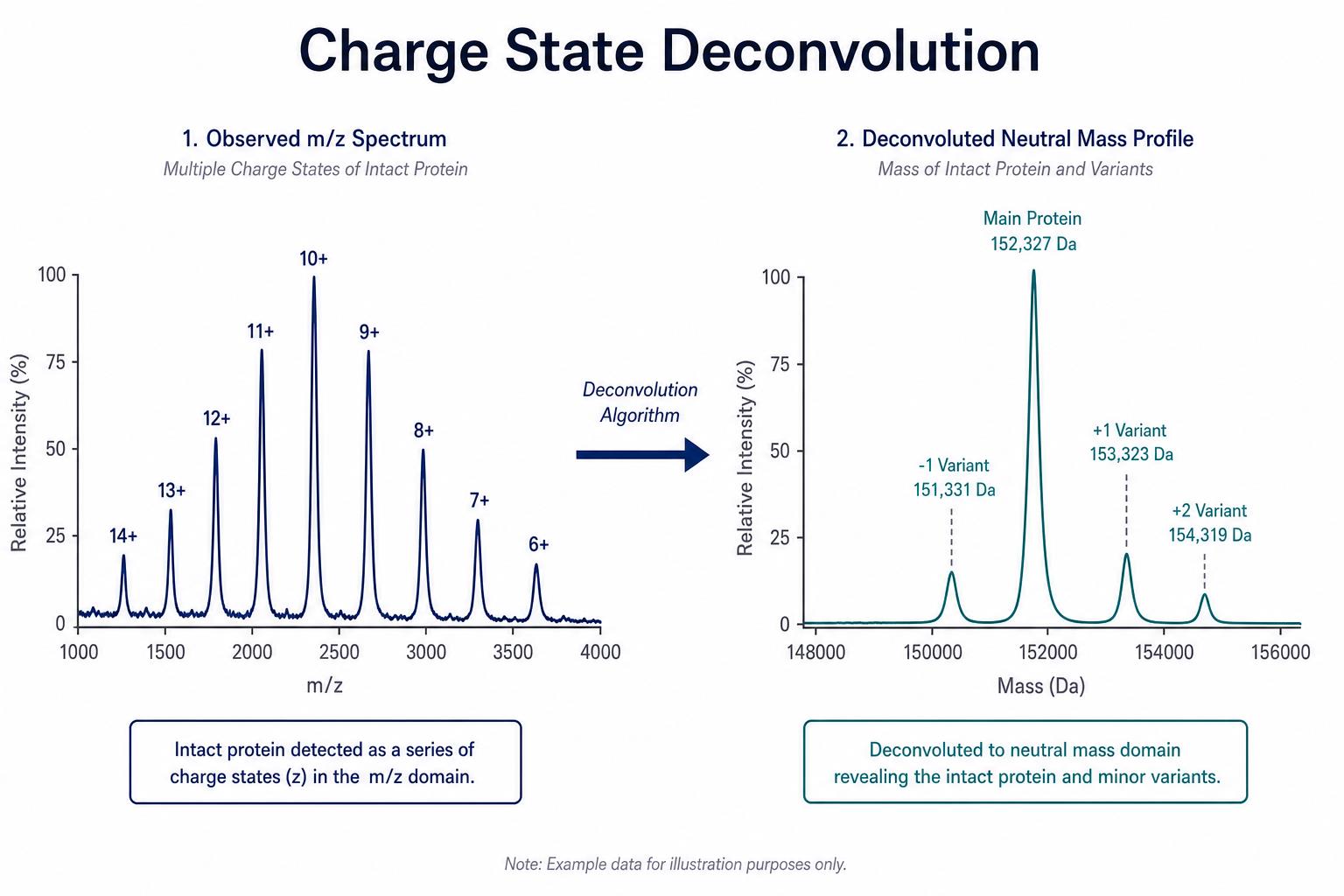 Charge state deconvolution in intact protein mass spectrometry