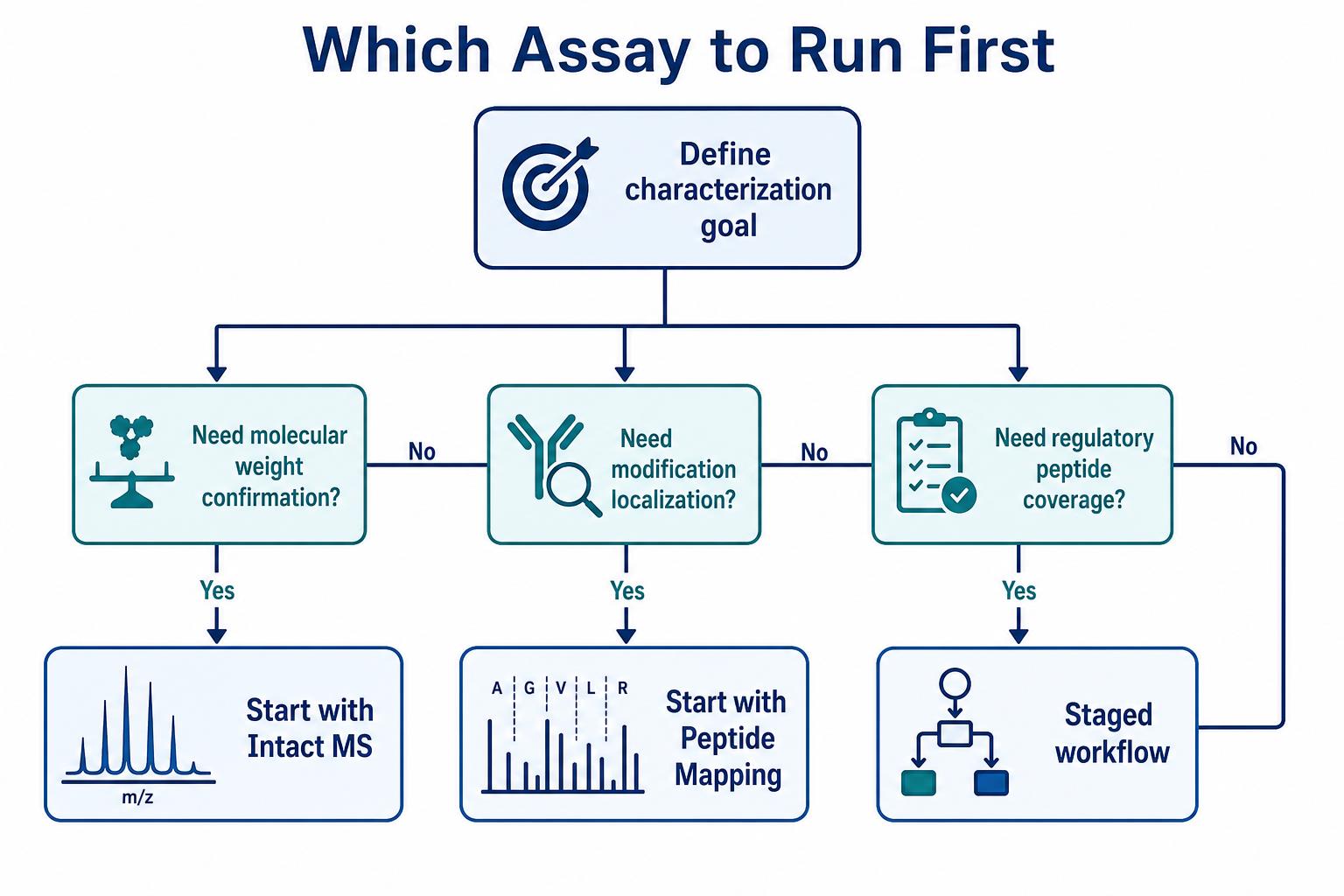 Decision flowchart for intact MS or bottom-up mapping first