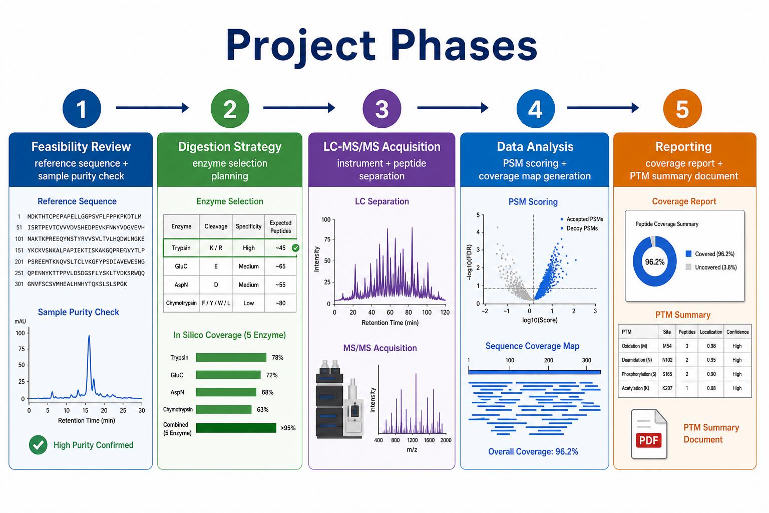 Peptide mapping analysis project phases from feasibility review through digestion LC-MS/MS analysis and reporting