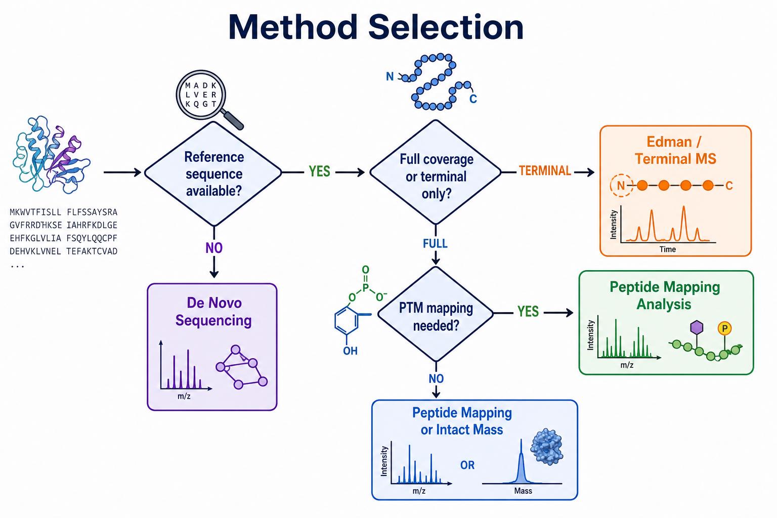 Decision tree for peptide mapping analysis versus de novo sequencing Edman and intact mass methods Decision tree for peptide mapping analysis versus de novo sequencing Edman and intact mass methods