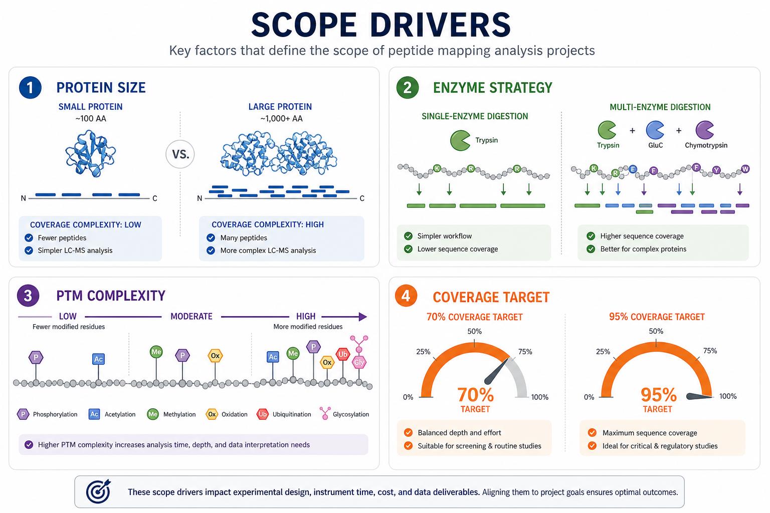 Factors affecting peptide mapping analysis project scope including enzyme strategy PTM complexity and coverage target