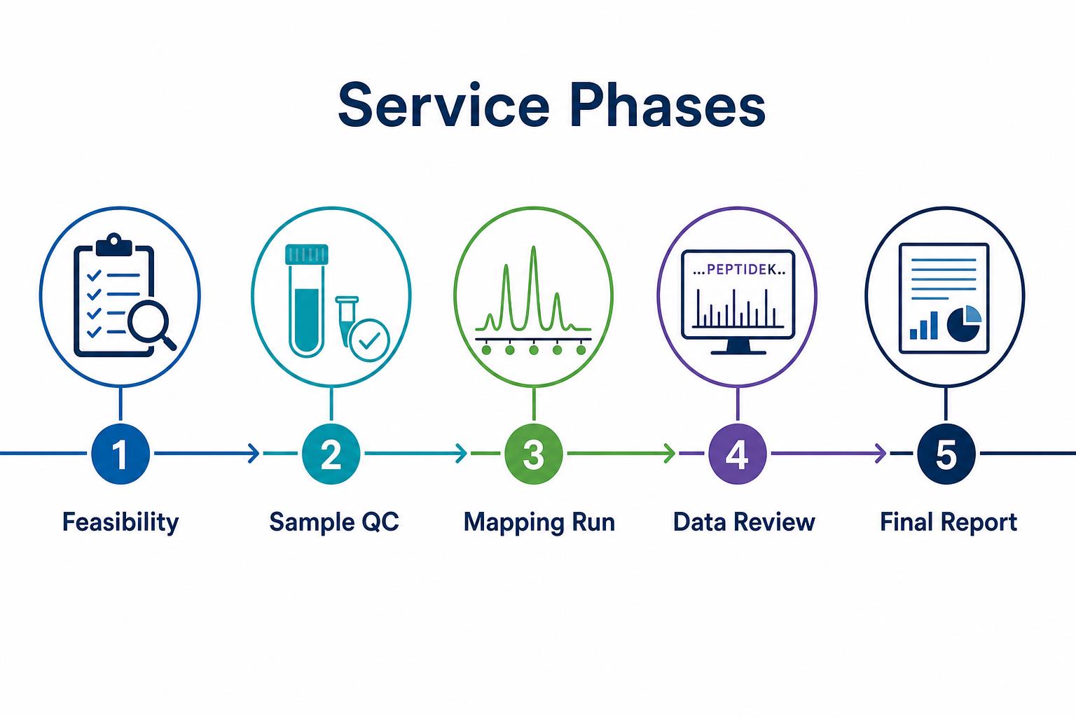 Peptide mapping service phases from feasibility review through sample QC mapping run and final report delivery Peptide mapping service phases from feasibility review through sample QC mapping run and final report delivery