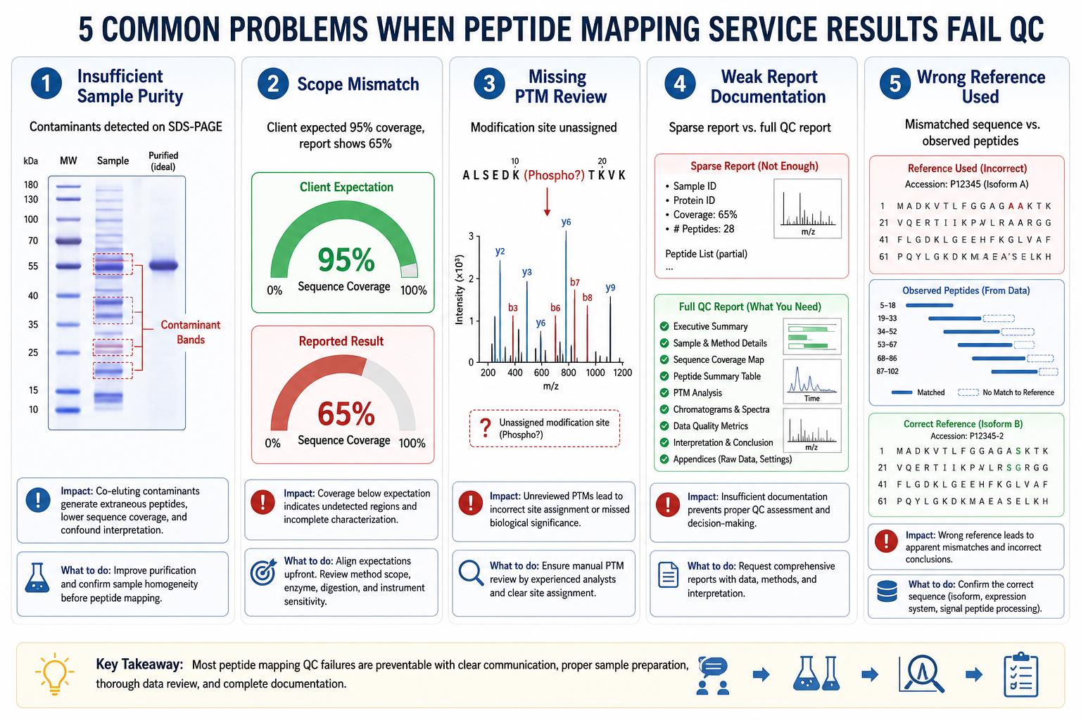 Common causes of inadequate peptide mapping service reports including sample purity scope mismatch and missing PTM review Common causes of inadequate peptide mapping service reports including sample purity scope mismatch and missing PTM review