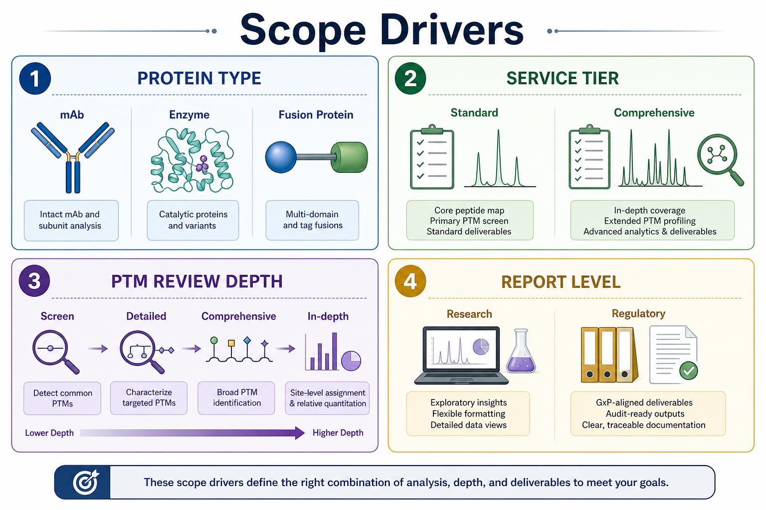 Factors affecting peptide mapping service scope including protein type service tier PTM review and report level Factors affecting peptide mapping service scope including protein type service tier PTM review and report level