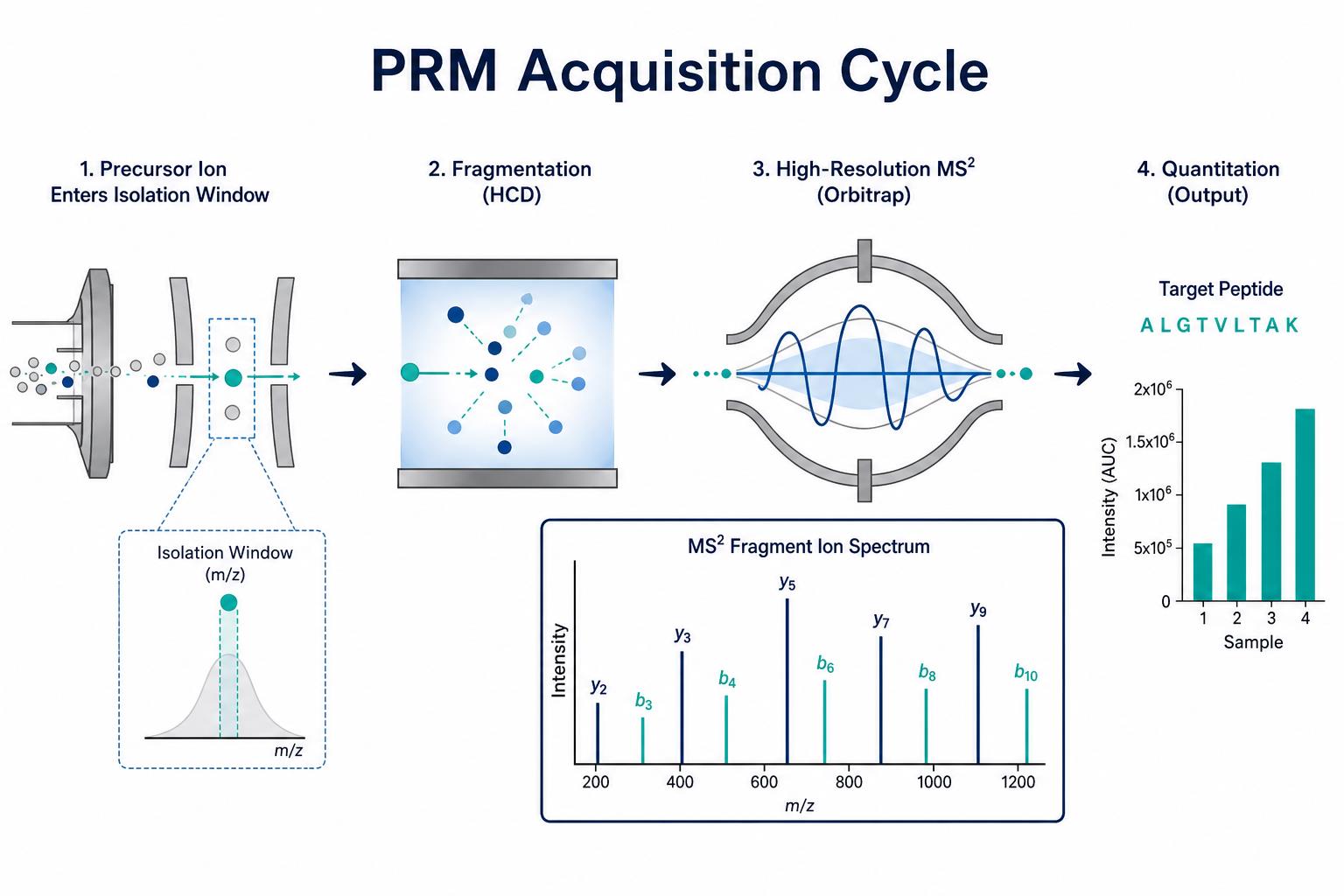 High-resolution targeted MS acquisition schematic showing precursor isolation and fragment ion quantitation High-resolution targeted MS acquisition schematic showing precursor isolation and fragment ion quantitation