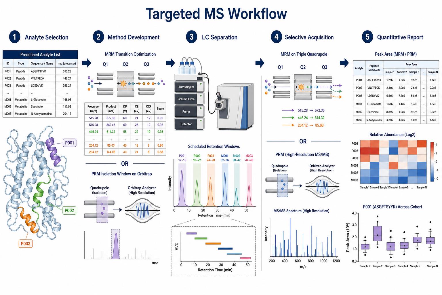 Targeted mass spectrometry workflow from analyte selection through method development selective acquisition and quantitative reporting Targeted mass spectrometry workflow from analyte selection through method development selective acquisition and quantitative reporting