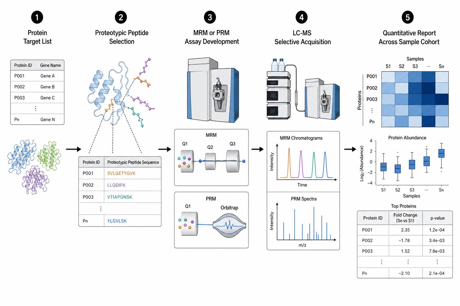 Targeted proteomics workflow from protein target selection through assay development LC-MS acquisition and quantitative report Targeted proteomics workflow from protein target selection through assay development LC-MS acquisition and quantitative report
