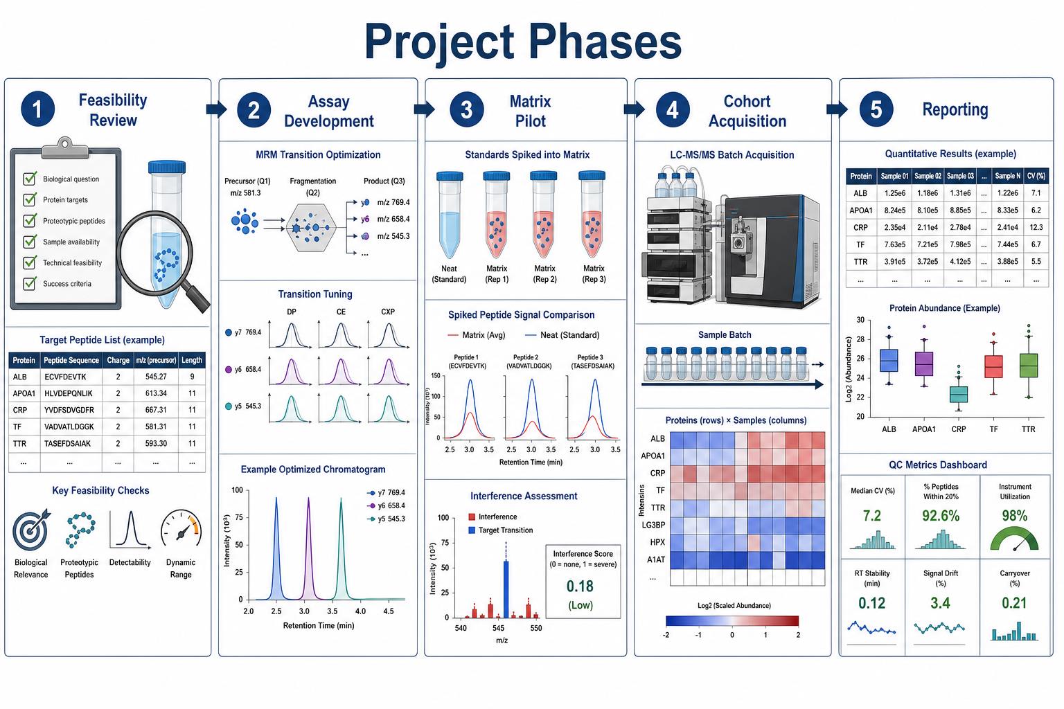 Targeted proteomics project phases from feasibility review through assay development matrix pilot cohort acquisition and reporting Targeted proteomics project phases from feasibility review through assay development matrix pilot cohort acquisition and reporting