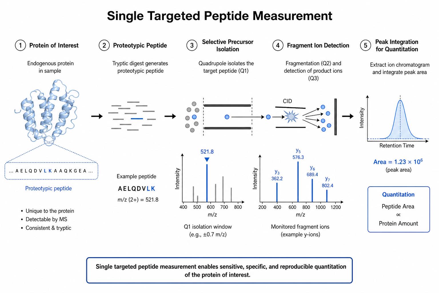 Single targeted peptide measurement showing selective precursor acquisition and fragment-based quantitation Single targeted peptide measurement showing selective precursor acquisition and fragment-based quantitation