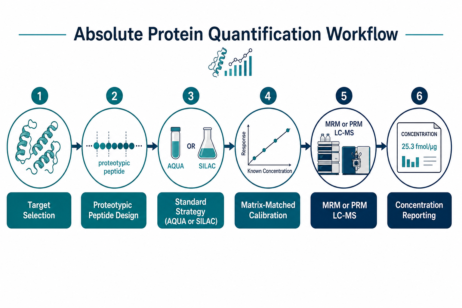 2076966375106621440-absolute-protein-quantification-workflow.png