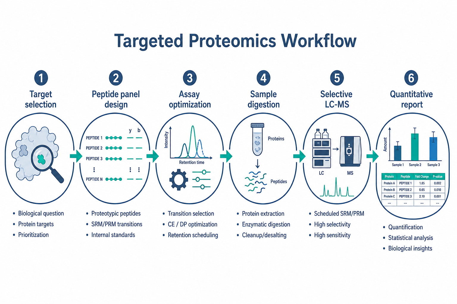 2077217055172014080-targeted-proteomics-workflow.png