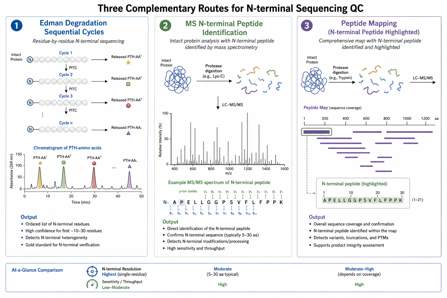 2079111996417069056-nterm-seq-fig7-route-comparison.png