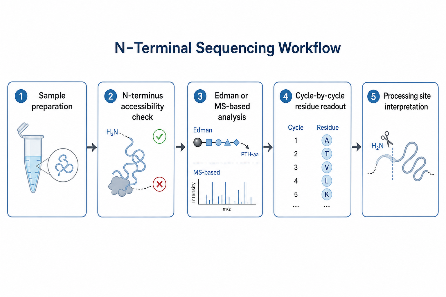 2079122183358074880-n-terminal-sequencing-workflow.png