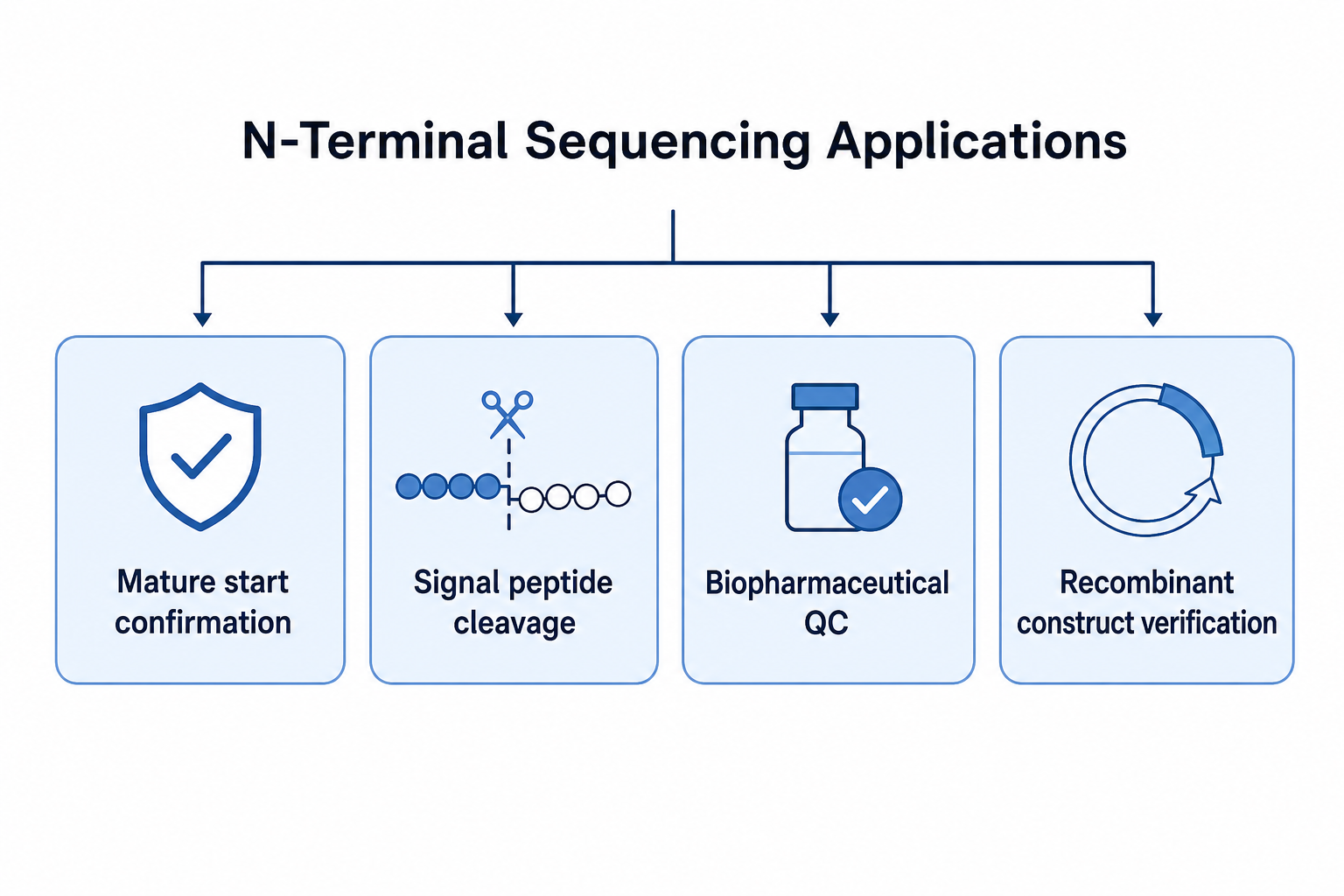 2079123391871275008-n-terminal-sequencing-applications.png