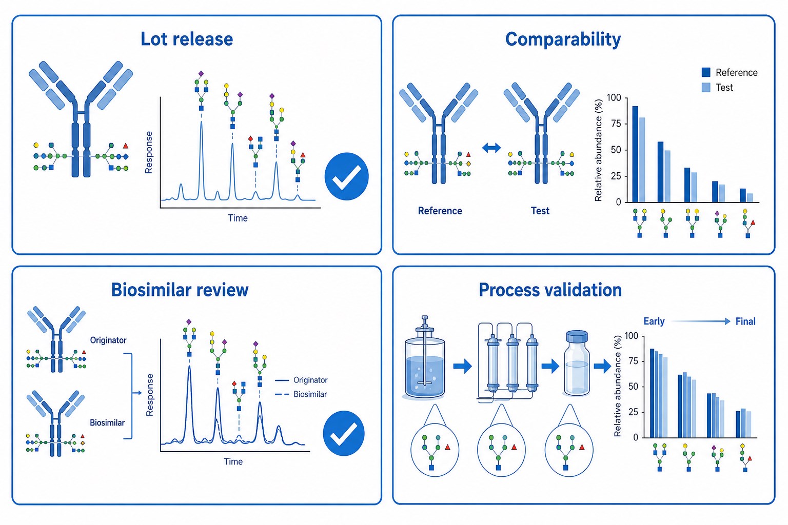Applications of antibody glycosylation analysis in biotherapeutic characterization including lot release comparability biosimilar review and process validation Applications of antibody glycosylation analysis in biotherapeutic characterization including lot release comparability biosimilar review and process validation