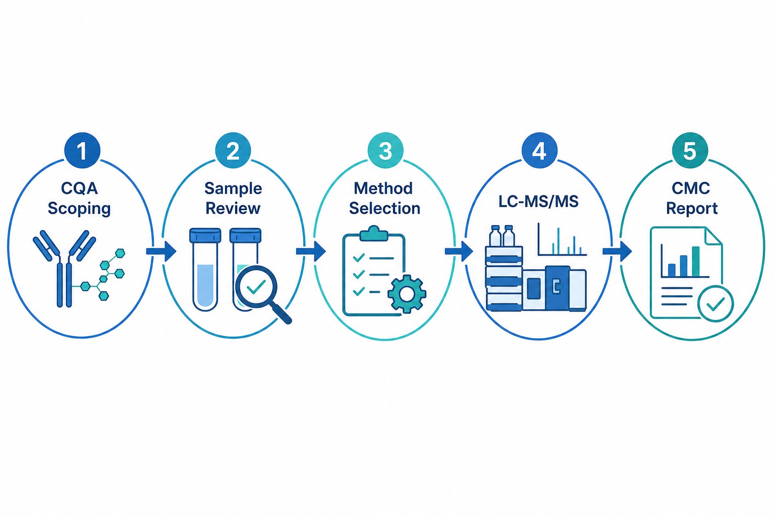 Standard biotherapeutic antibody glycosylation analysis workflow from CQA scoping through sample review method selection LC-MS/MS and CMC reporting Standard biotherapeutic antibody glycosylation analysis workflow from CQA scoping through sample review method selection LC-MS/MS and CMC reporting