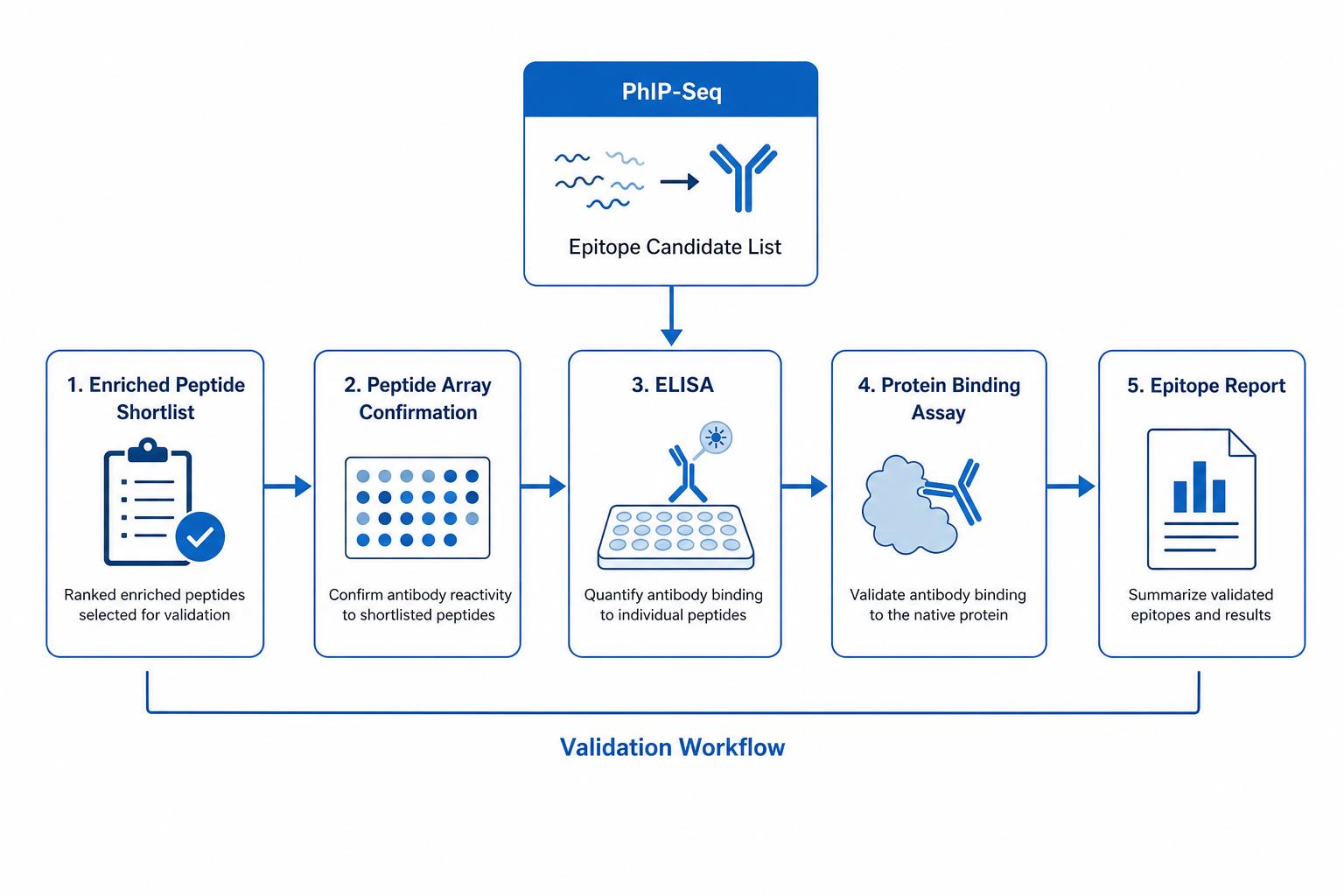 Validation pathway from PhIP-Seq epitope candidate shortlist to peptide array ELISA and protein binding confirmation Validation pathway from PhIP-Seq epitope candidate shortlist to peptide array ELISA and protein binding confirmation