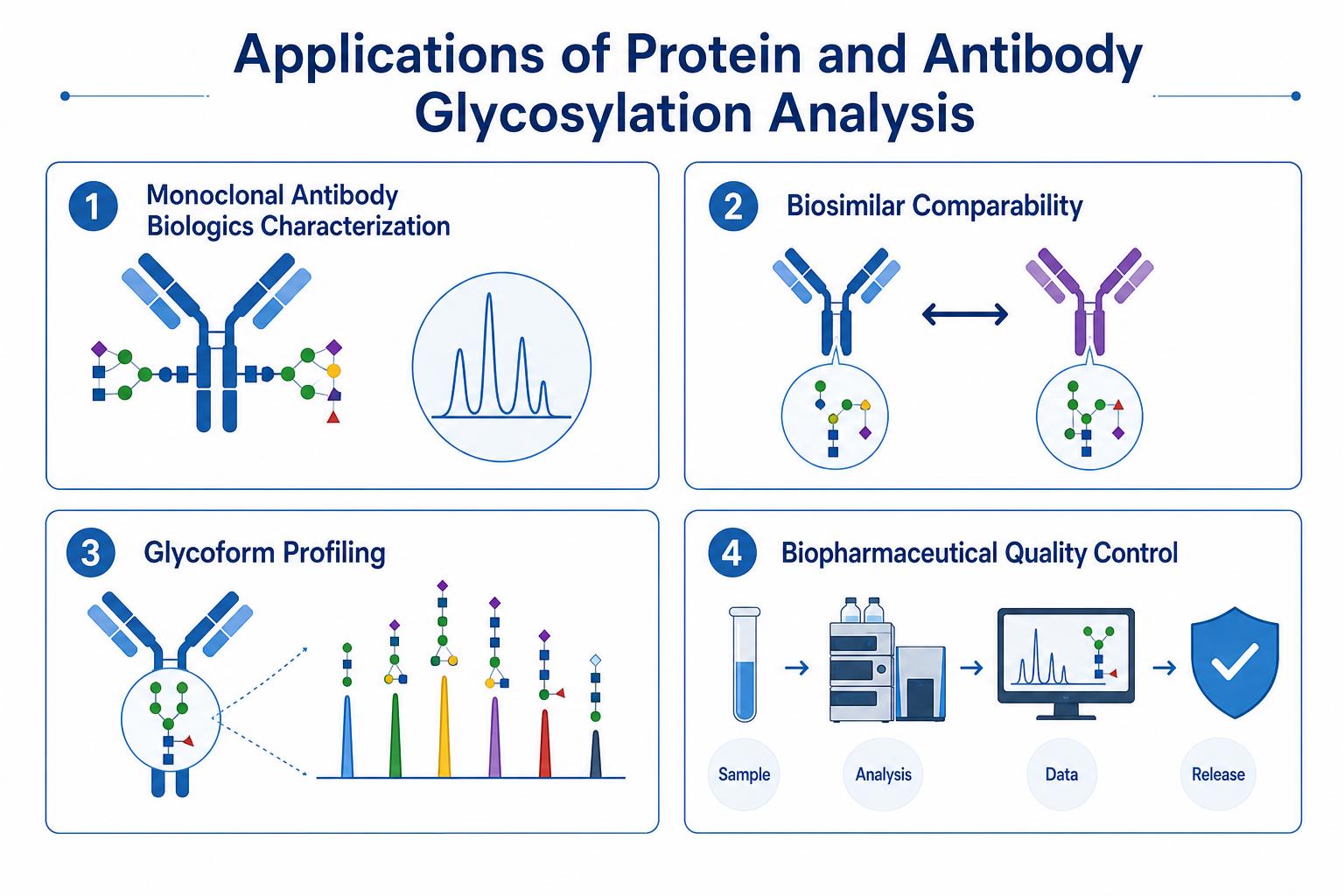 Applications of protein and antibody glycosylation analysis in biologics characterization biosimilar comparability glycoform profiling and quality review