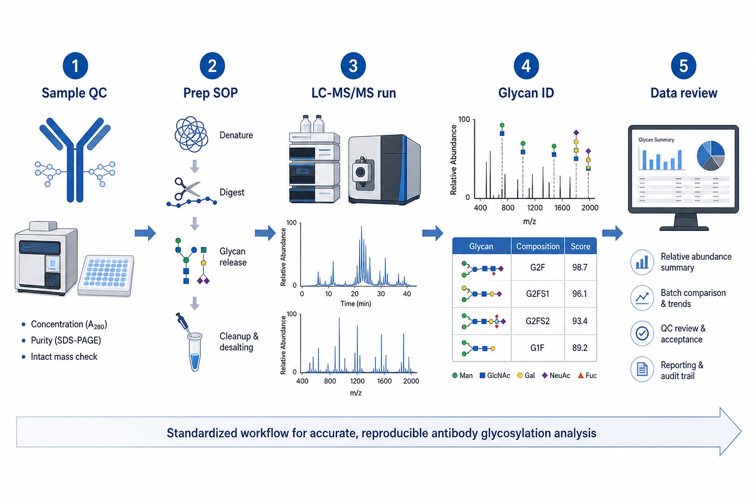 Reproducible antibody glycosylation analysis workflow from sample QC and prep SOP through LC-MS/MS glycan identification and structured data review Reproducible antibody glycosylation analysis workflow from sample QC and prep SOP through LC-MS/MS glycan identification and structured data review