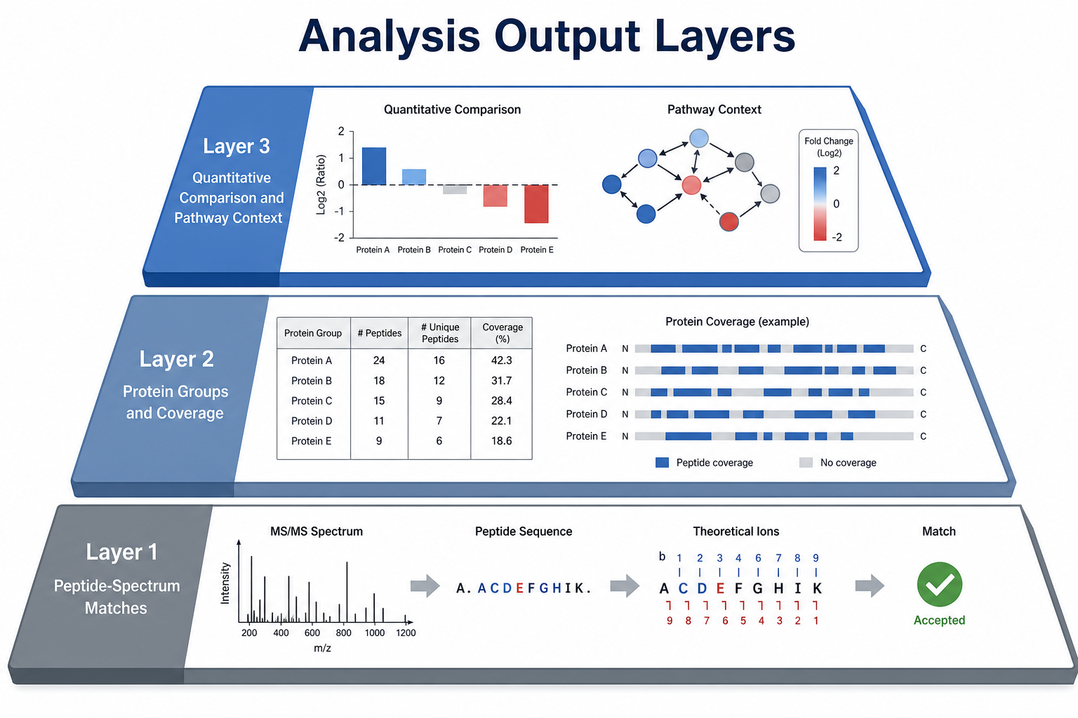 Layered outputs in bottom-up proteomics analysis from peptide-spectrum matches through protein groups to quantitative and pathway interpretation Layered outputs in bottom-up proteomics analysis from peptide-spectrum matches through protein groups to quantitative and pathway interpretation