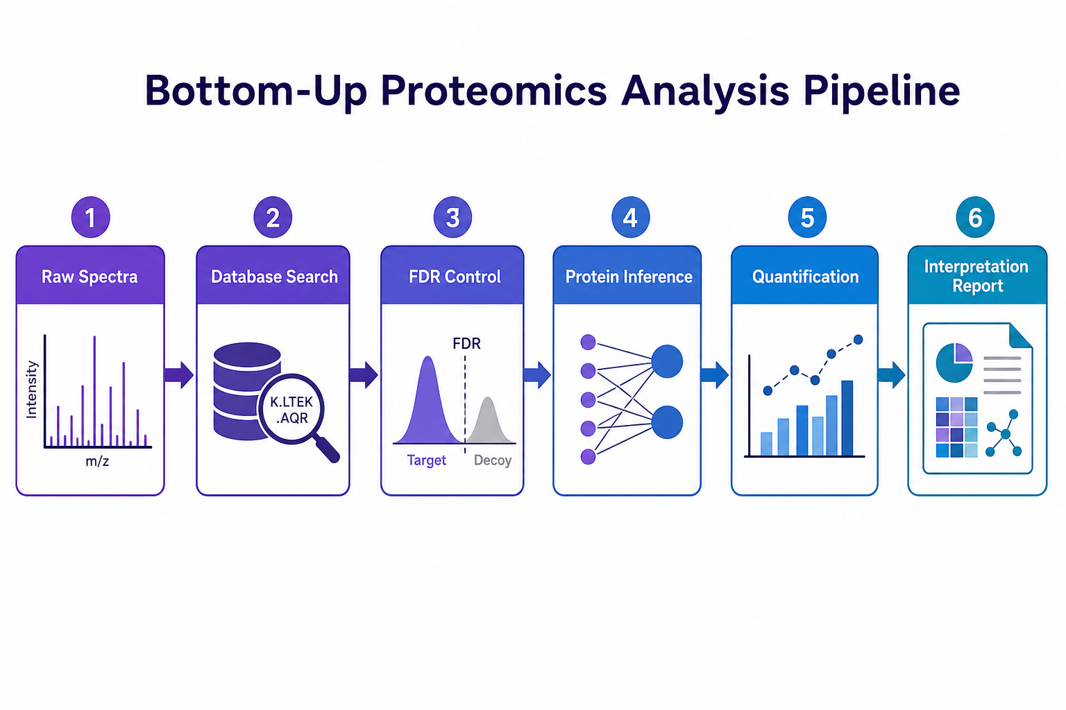 Bottom-up proteomics analysis pipeline from raw spectra through database search, FDR control, protein inference, and interpretation Bottom-up proteomics analysis pipeline from raw spectra through database search, FDR control, protein inference, and interpretation