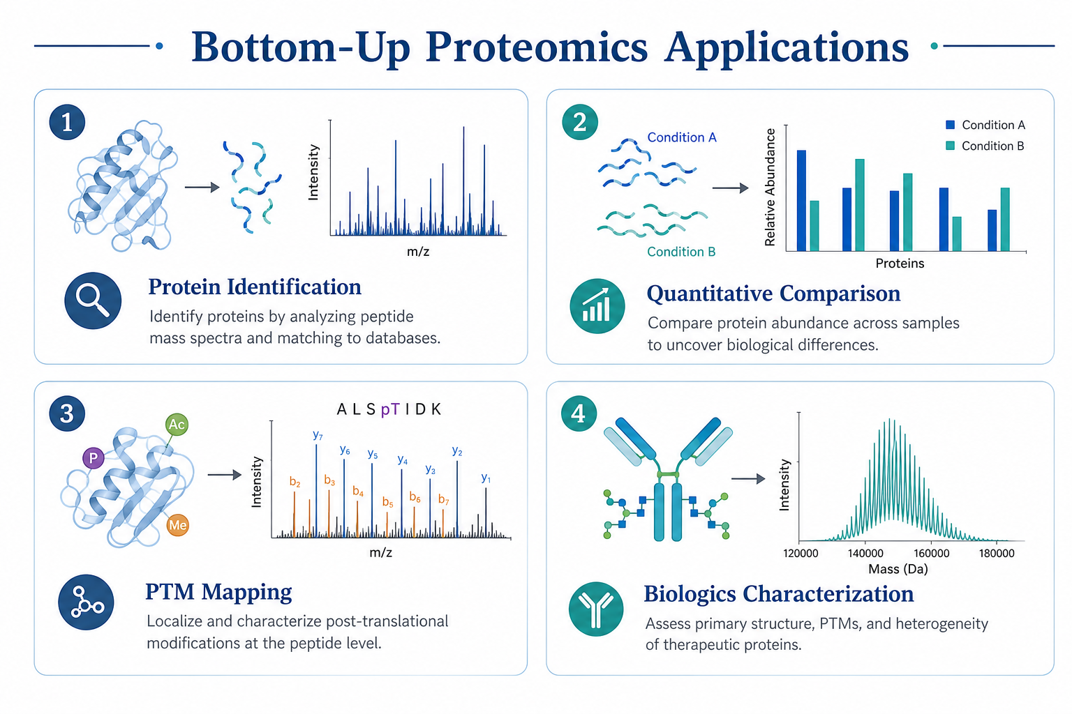 Bottom-up proteomics applications in protein analysis including protein identification, quantitative comparison, PTM mapping, and biologics characterization Bottom-up proteomics applications in protein analysis including protein identification, quantitative comparison, PTM mapping, and biologics characterization