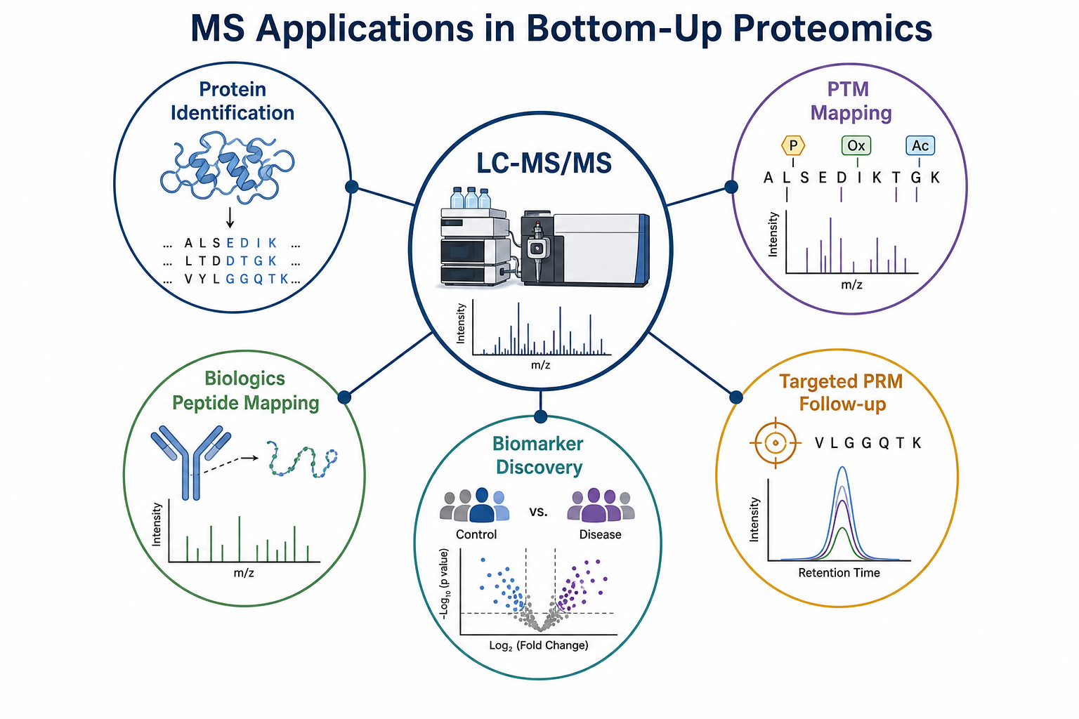 Applications of bottom-up proteomics using mass spectrometry in protein identification, PTM mapping, biologics characterization, and targeted follow-up Applications of bottom-up proteomics using mass spectrometry in protein identification, PTM mapping, biologics characterization, and targeted follow-up